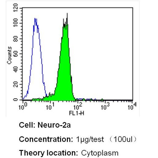 Nestin Antibody in Flow Cytometry (Flow)