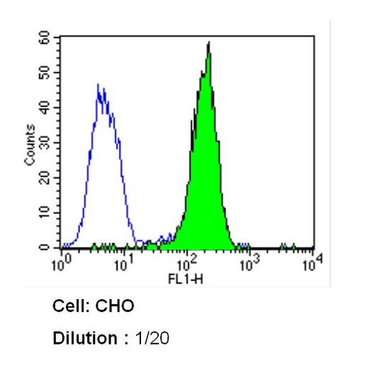 Caveolin 1 Antibody in Flow Cytometry (Flow)