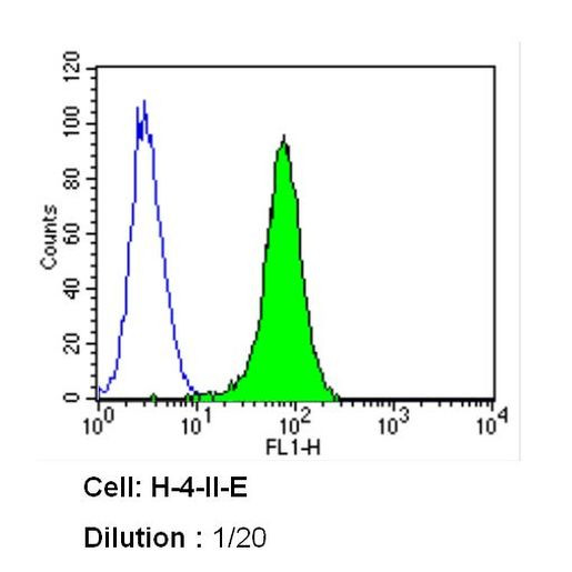 Caveolin 1 Antibody in Flow Cytometry (Flow)