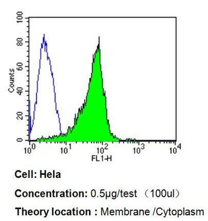 Bax Antibody in Flow Cytometry (Flow)