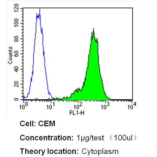 beta Tubulin Loading Control Antibody in Flow Cytometry (Flow)