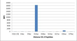 H3K14ac Antibody in Luminex (LUM)