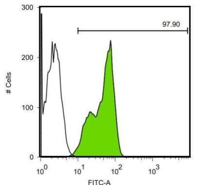 LIN28A Antibody in Flow Cytometry (Flow)