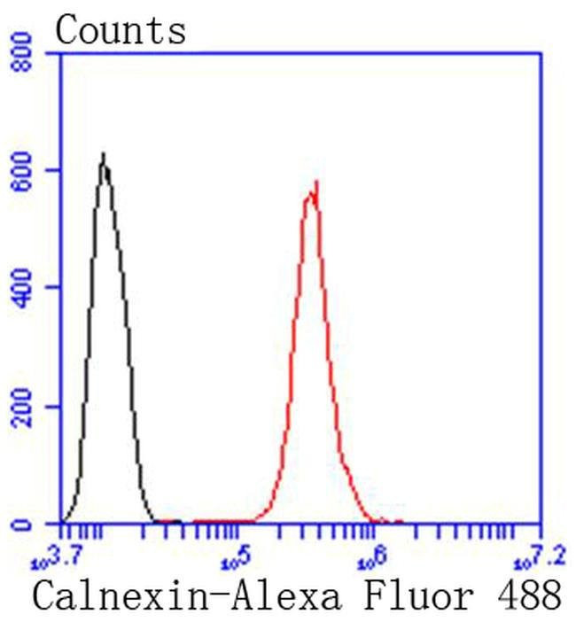 Calnexin Antibody in Flow Cytometry (Flow)