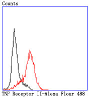 TNFR2 Antibody in Flow Cytometry (Flow)