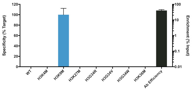 H3 K9M oncohistone mutant Antibody in ChIP Assay (ChIP)