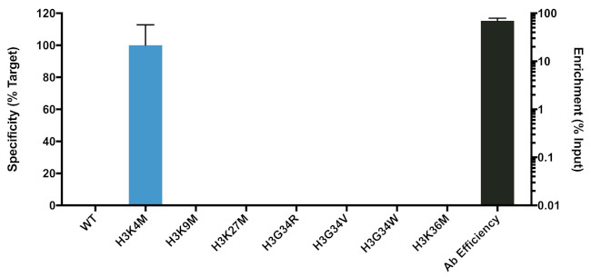 H3.3 K4M oncohistone mutant Antibody in ChIP Assay (ChIP)