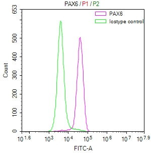 PAX6 Antibody in Flow Cytometry (Flow)