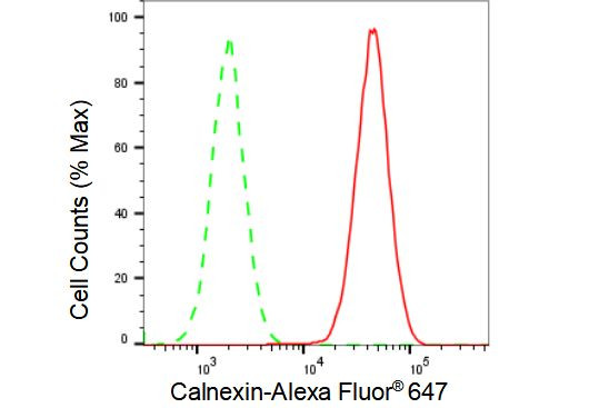 Calnexin Antibody in Flow Cytometry (Flow)