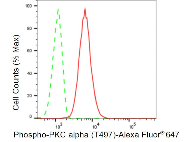 Phospho-PKC alpha (Thr497) Antibody in Flow Cytometry (Flow)