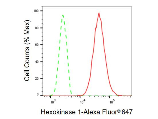 HK1 Antibody in Flow Cytometry (Flow)