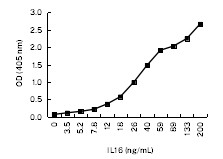 IL-16 Antibody in ELISA (ELISA)