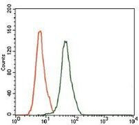 JNK1 Antibody in Flow Cytometry (Flow)