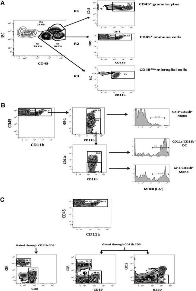 CD4 Antibody in Flow Cytometry (Flow)