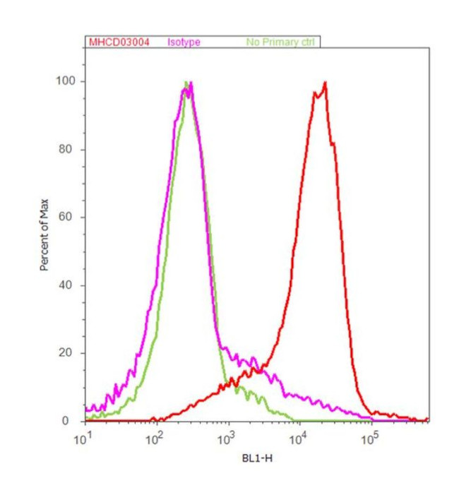 CD3 Antibody in Flow Cytometry (Flow)