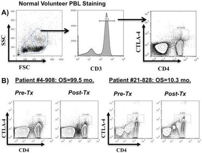 CD3 Antibody in Flow Cytometry (Flow)