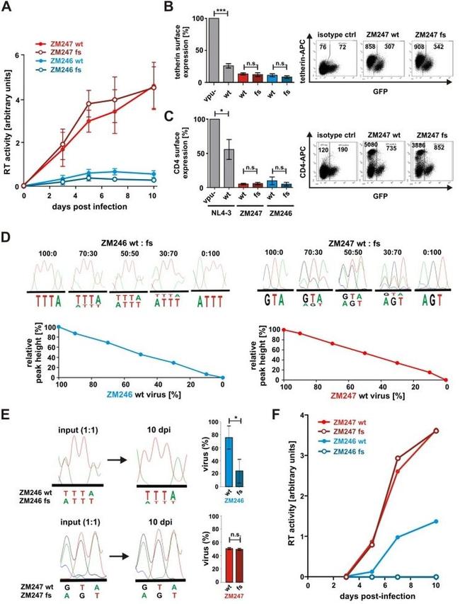 CD4 Antibody in Flow Cytometry (Flow)