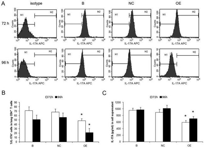 IL-17A Antibody in Flow Cytometry (Flow)