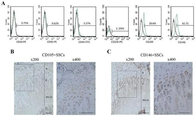 CD29 (Integrin beta 1) Antibody in Flow Cytometry (Flow)