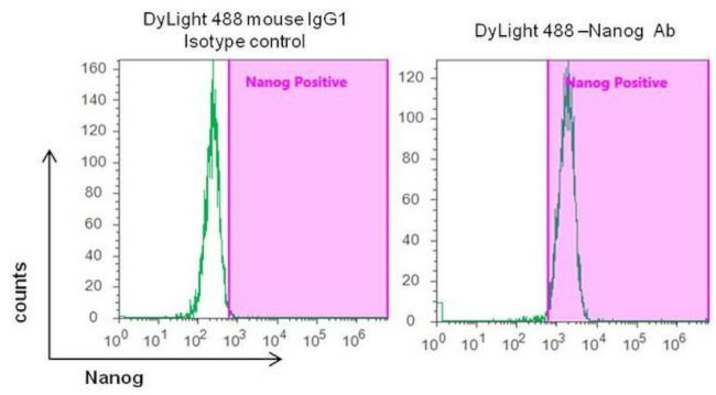 Nanog Antibody in Flow Cytometry (Flow)