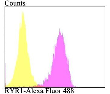 RyR1 Antibody in Flow Cytometry (Flow)