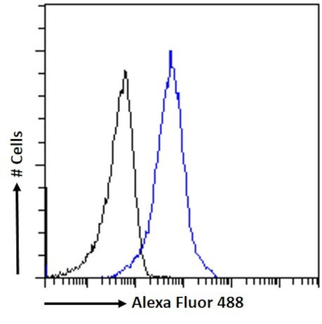 ACE2 Antibody in Flow Cytometry (Flow)