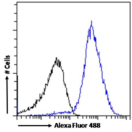 PD-L1 Antibody in Flow Cytometry (Flow)