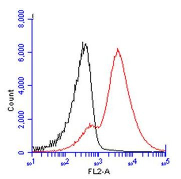 CD3g Antibody in Flow Cytometry (Flow)