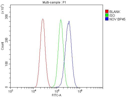 NOV Antibody in Flow Cytometry (Flow)