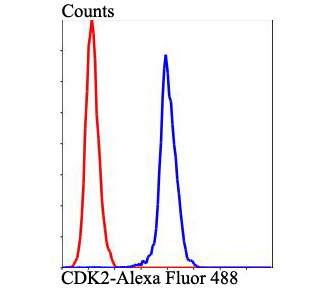 CDK2 Antibody in Flow Cytometry (Flow)