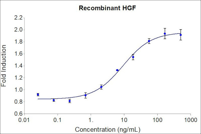 Human HGF Protein in Functional Assay (Functional)