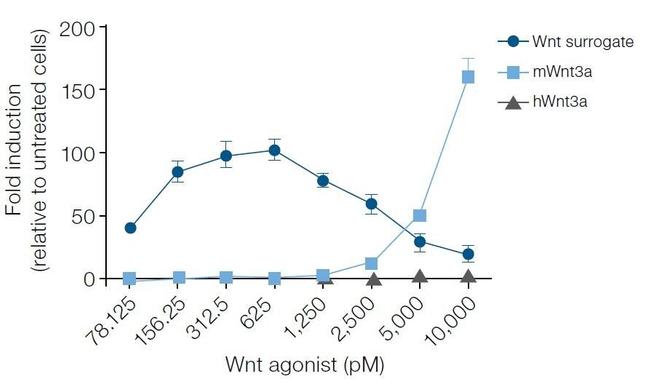 Wnt Surrogate-Fc Fusion Protein in Functional Assay (Functional)