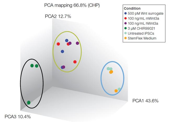 Wnt Surrogate-Fc Fusion Protein in Functional Assay (Functional)