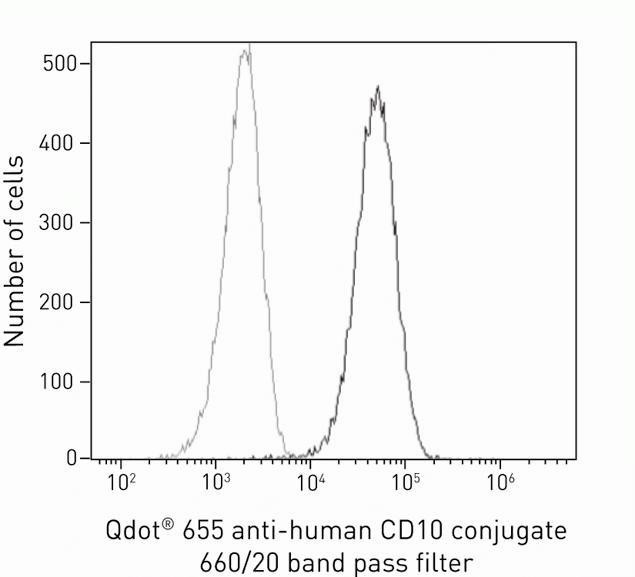 CD10 Antibody in Flow Cytometry (Flow)