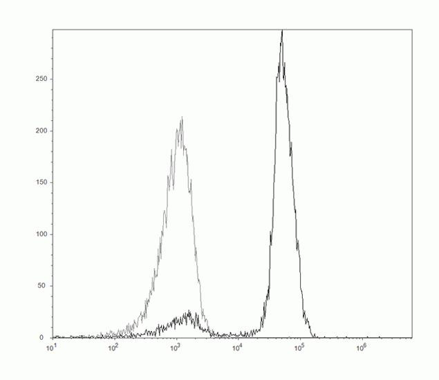 CD2 Antibody in Flow Cytometry (Flow)