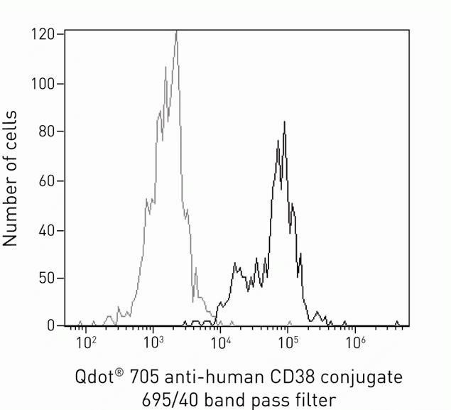 CD38 Antibody in Flow Cytometry (Flow)