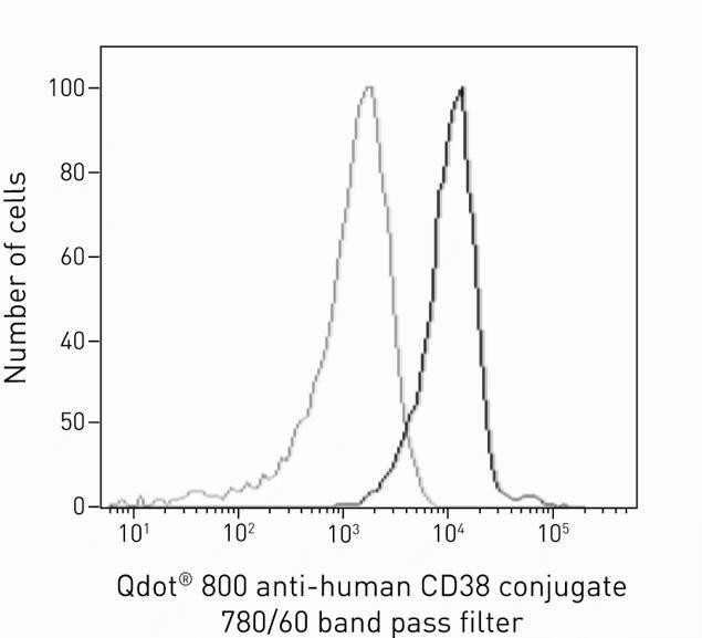 CD38 Antibody in Flow Cytometry (Flow)