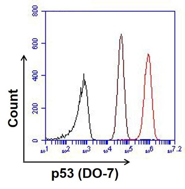 Rabbit IgG (H+L) Highly Cross-Adsorbed Secondary Antibody in Flow Cytometry (Flow)