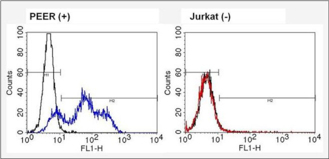 TCR V alpha 12.1 Antibody in Flow Cytometry (Flow)