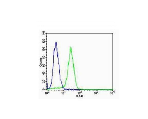 Integrin Alpha V + Beta 3 Antibody in Flow Cytometry (Flow)