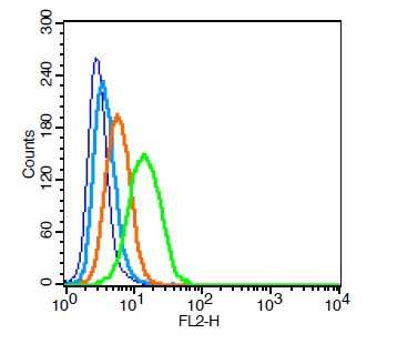 Integrin Alpha V + Beta 3 Antibody in Flow Cytometry (Flow)