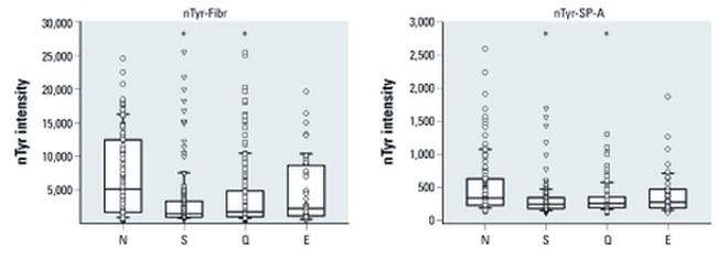 Nitrotyrosine Antibody in ELISA (ELISA)