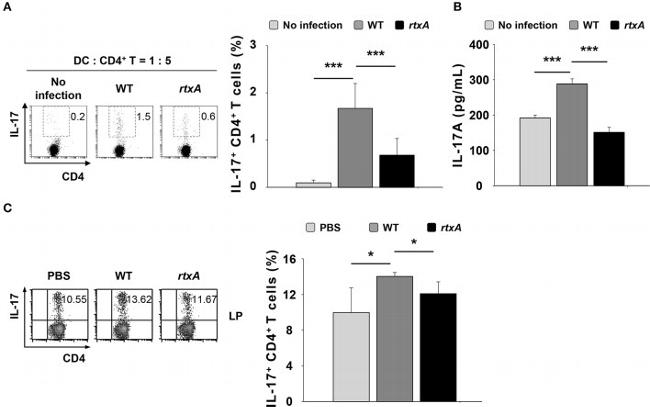 IL-17A Antibody in Flow Cytometry (Flow)