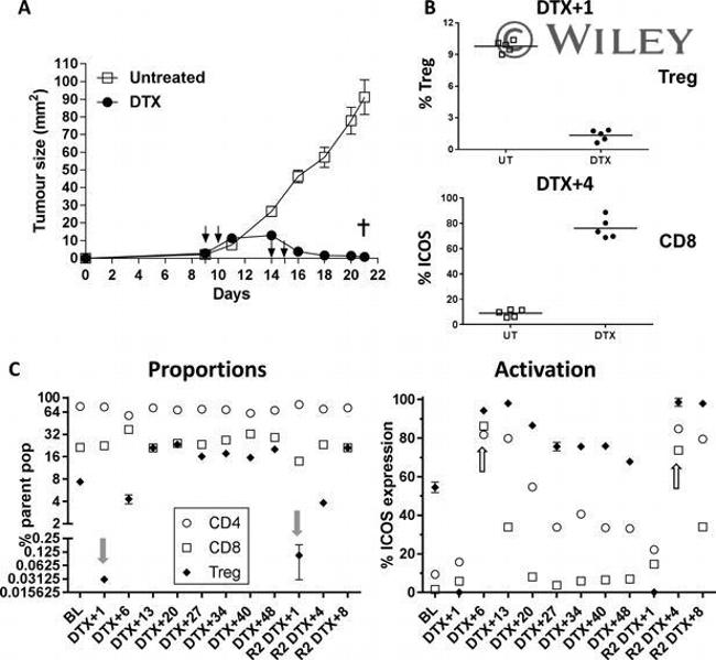 CD8a Antibody in Flow Cytometry (Flow)