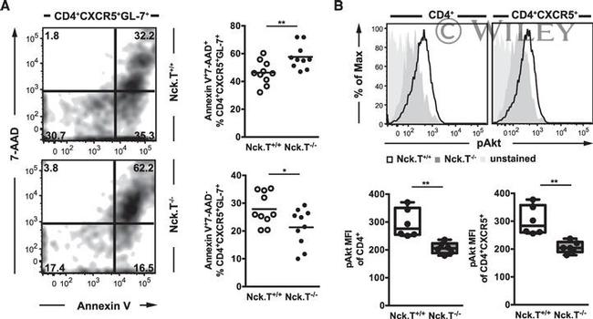 CD185 (CXCR5) Antibody in Flow Cytometry (Flow)