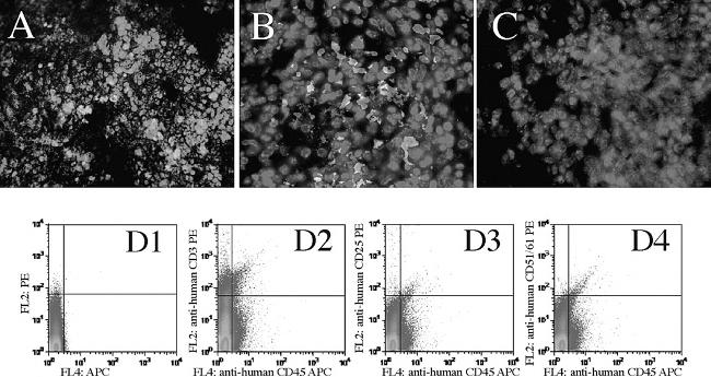 CD45 Antibody in Flow Cytometry (Flow)