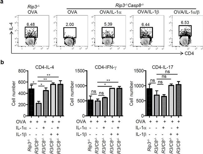 IL-17A Antibody in Flow Cytometry (Flow)