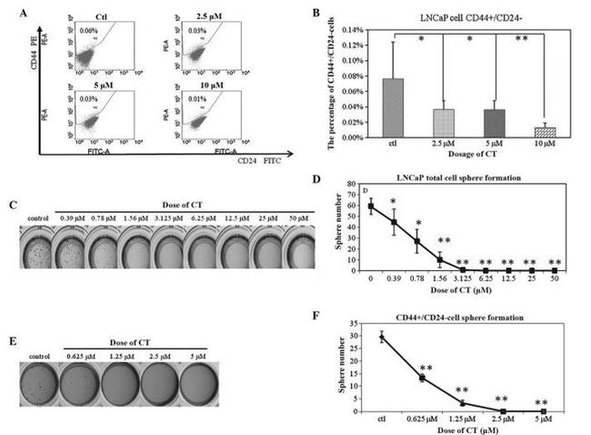 CD44 Antibody