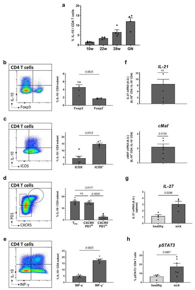 FOXP3 Antibody in Flow Cytometry (Flow)