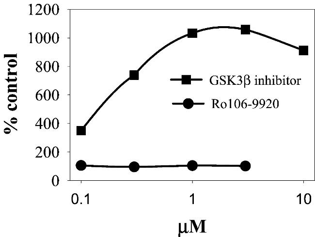 beta Catenin Antibody in ELISA (ELISA)